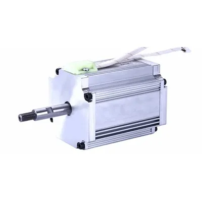 24V Brushless DC Motor-fabrică